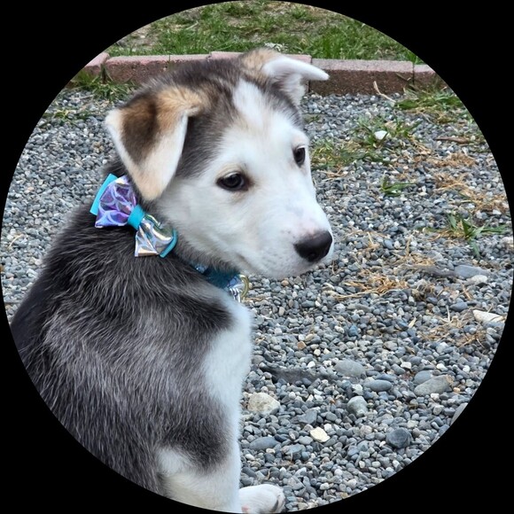 alaska_hat_guy